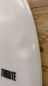 Twin Fish 5'10"