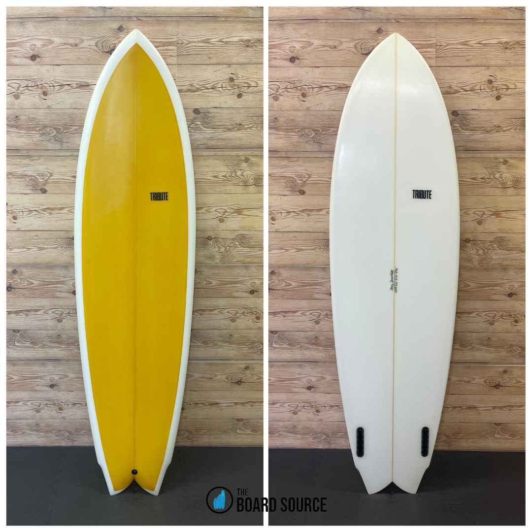 Twin Fish 6'6"