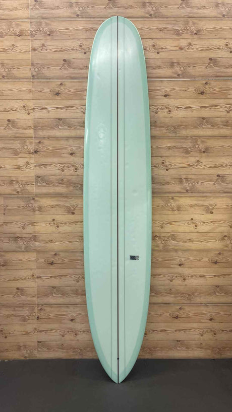 Pintail Noserider 10'