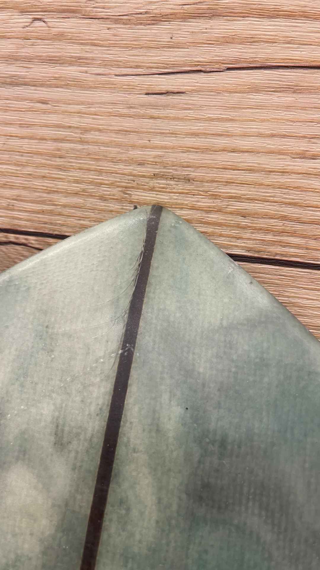 Twin Fish 5'8"
