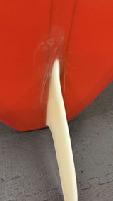 Noserider 10"