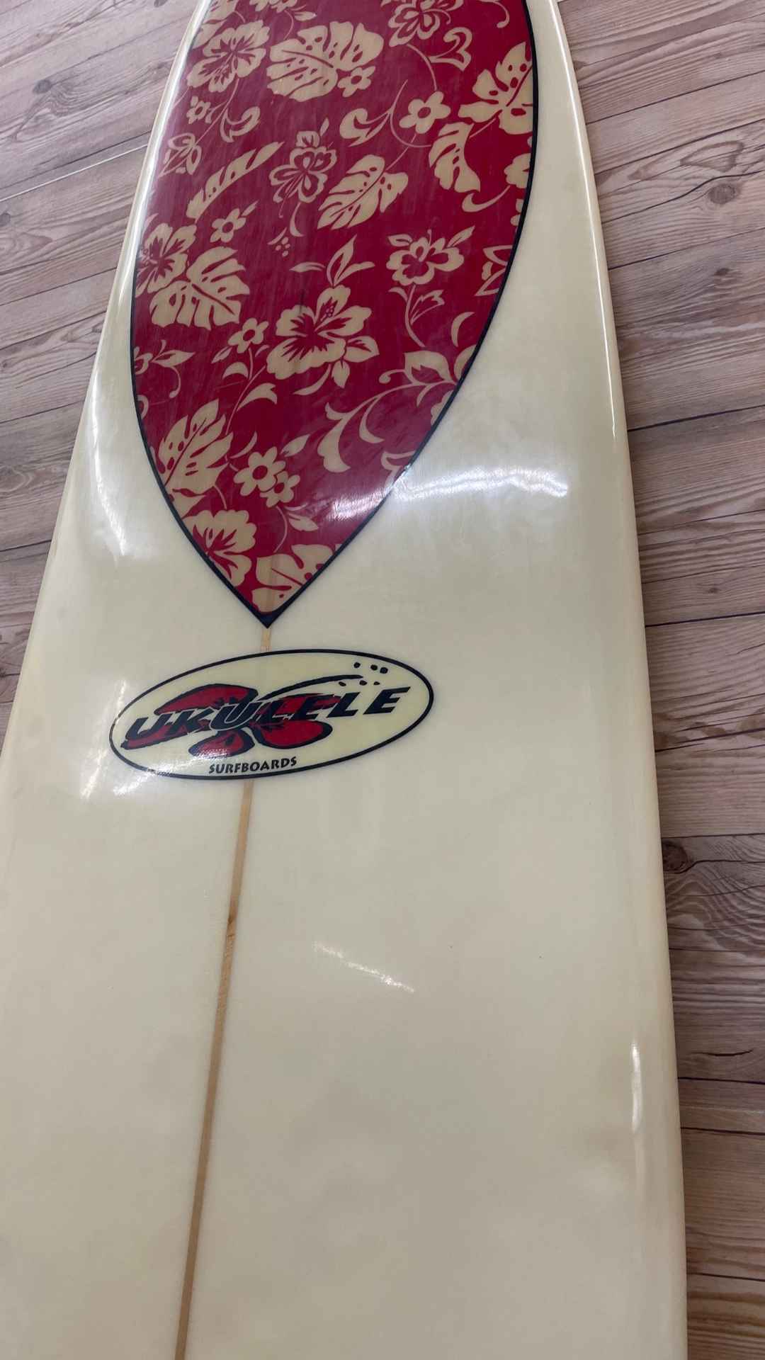 2+1 Longboard 9'3"
