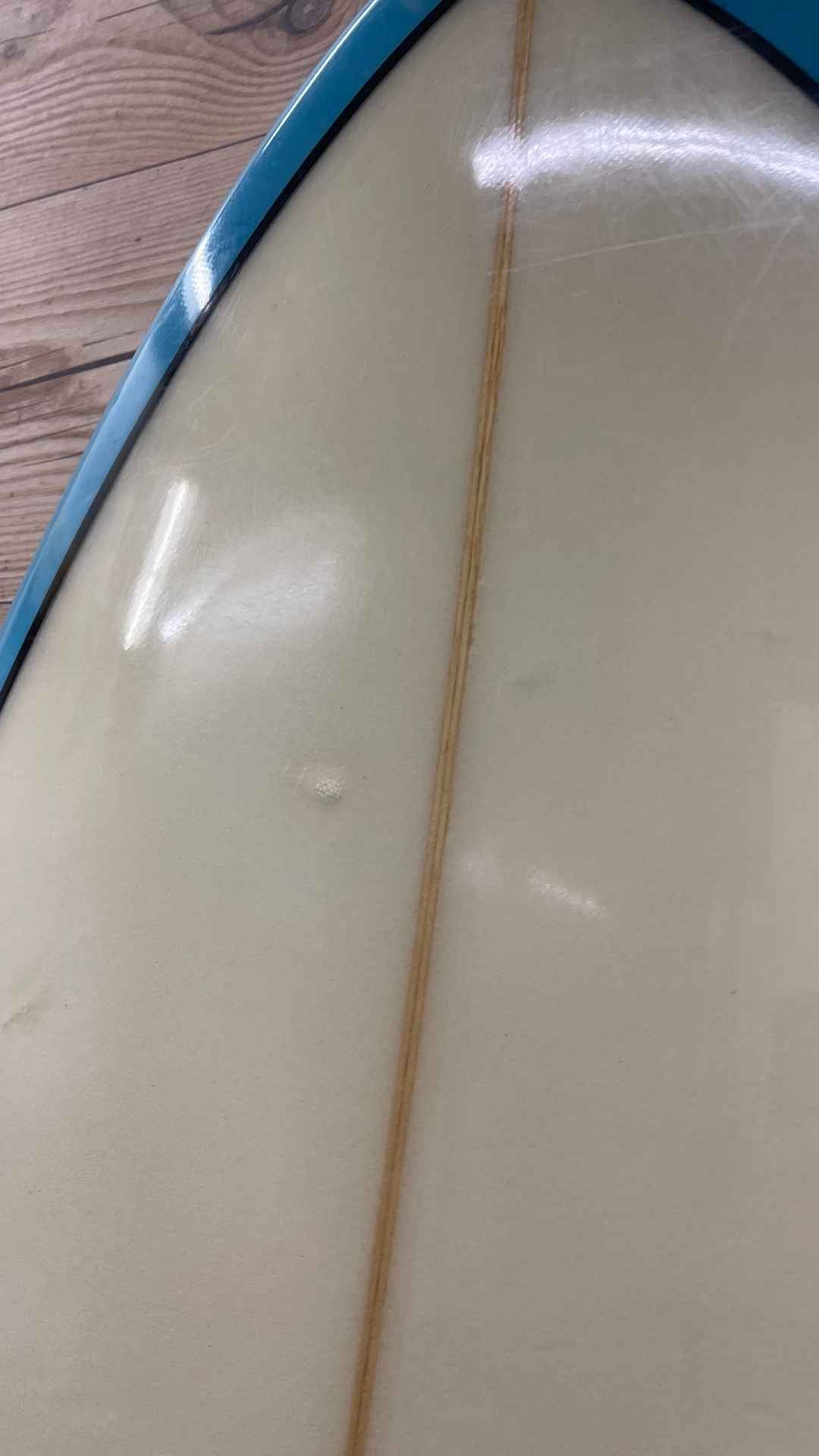Fish 6'4"