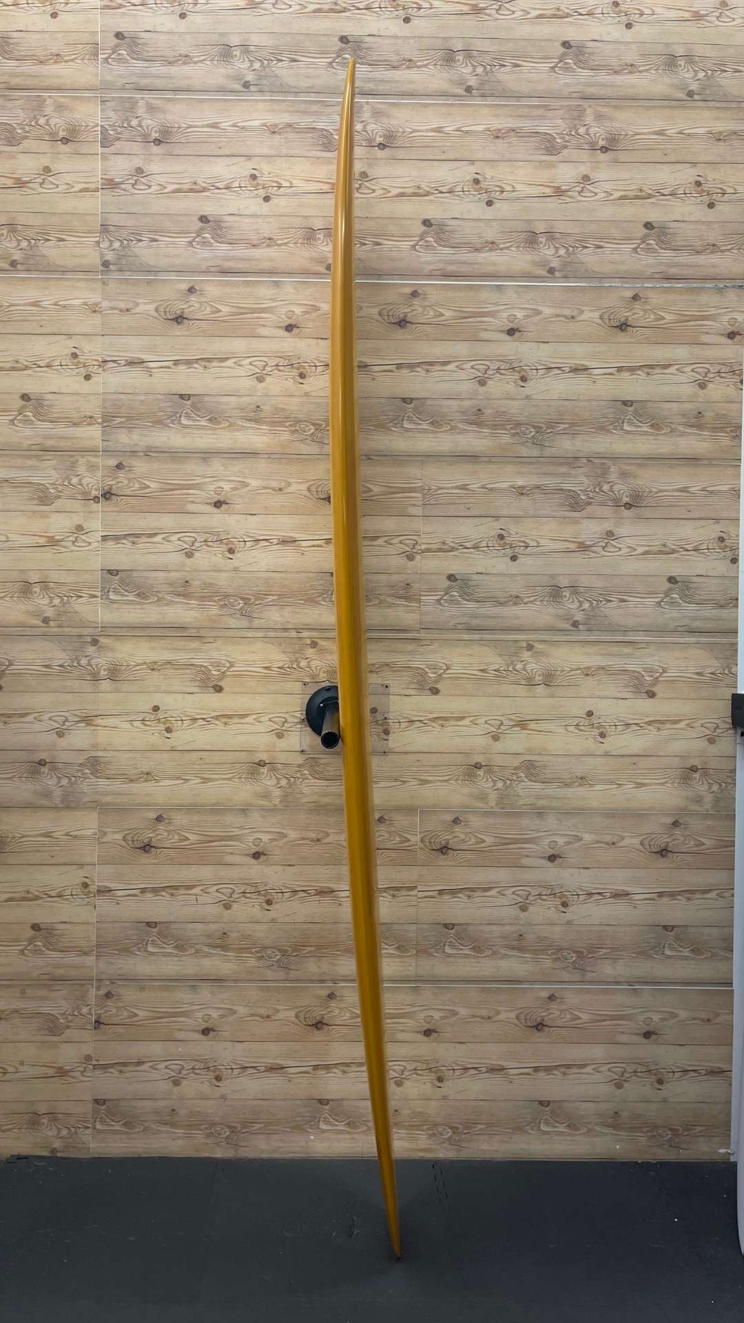 Pig 9'10"