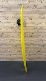 Twin Fish 5'3"