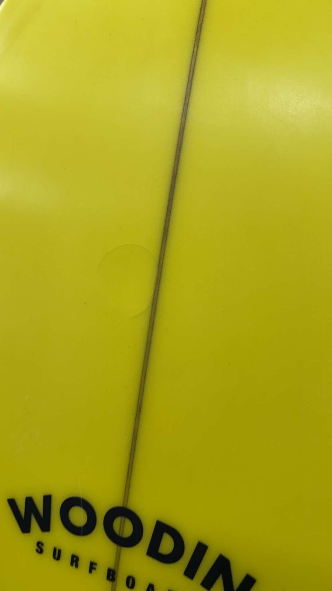 Twin Fish 5'3"