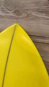 Twin Fish 5'3"