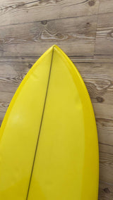 Twin Fish 5'3"